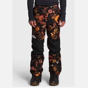 The north face men’s dryvent ski pants